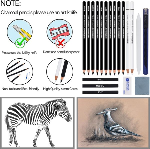 Charcoal Drawing Set, 19 Pieces, Black & White Charcoal Pencils for Drawing, Sketching, Shading, Blending, Artist Pencils for Beginners & Pro Artists - Image 2
