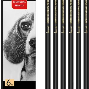 Professional Charcoal Pencils Drawing Set - 6 Pieces Soft Medium and Hard Charcoal Pencils for Drawing, Sketching, Shading